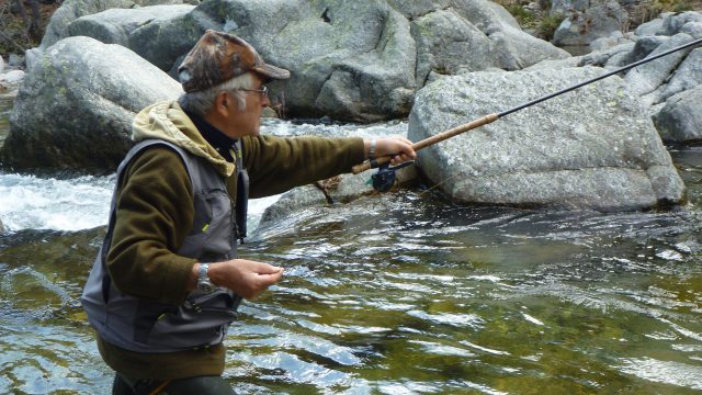 Stage pêche au « toc »