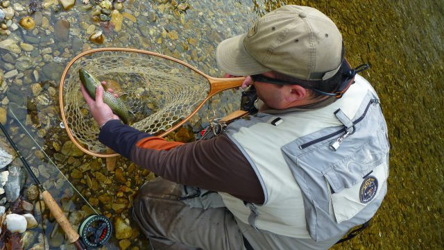 Promo « Ouverture de la pêche »