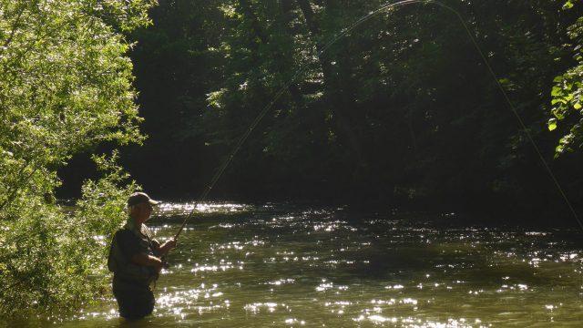 Stage pêche au « toc »