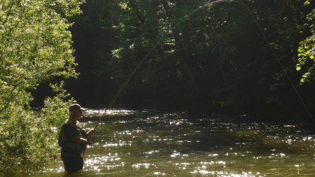 Stage pêche au « toc »
